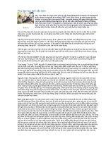 công tác phụ đạo học sinh yếu kém