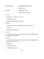 De thi toan 9 DTNT 2008-2009 (hay)