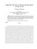 Pháp luật Việt Nam về thương mại hóa quyền  Sở hữu trí tuệ