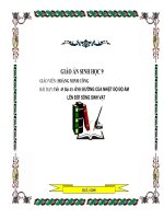 tiết 45 bài 43 : Ảnh hưởng của nhiệt độ độ ẩm lên đời sống sinh vật