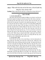 SKKN loại A cấp H-phông VNtime