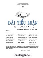 tiểu luận pháp luật: ntắc bình đẳng, đoàn kết..