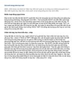 Cái mới trong năm học 2009-2010