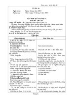 Giáo án lớp 3 tuần 19 - 24