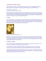 Nghệ thuật cải lương phần 2