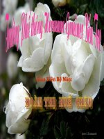 DAI LUONG TI LE NGHICH