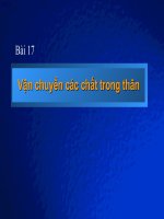 Bai 17_V.chuyen cac chat trong than