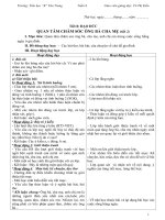 Giao an lop 3 tuan 8 CKTKN moi