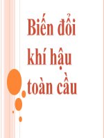 biến đổi khí hậu toàn cầu