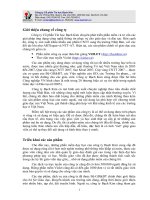 Giới thiệu công ty Bach Kim