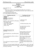 KE HOACH BAI HOC LOP 5B TUAN 9