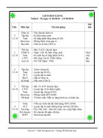 Giáo án 5 - Tuần 8 (2010-2011)
