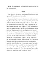 tả hình dáng con mèo 2