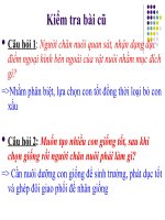 Bài 25. Các phương pháp nhân giống vật nuôi và thủy sản