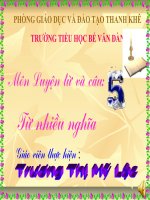 LTVC: Từ nhiều nghĩa