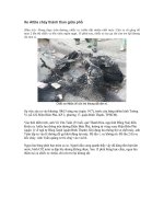 Attila cháy thành than giữa thành phố