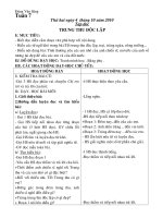 giao an tuan 7 da sua 2010