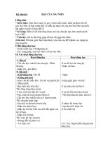 Kể chuyện: BẠN CỦA NAI NHỎ(tuần 3-sáng)