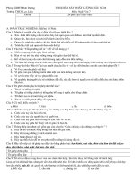 thi chat luong dau nam