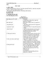 giao an CKT hoa 9-hot