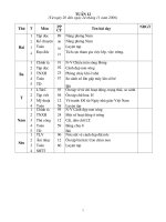 Tuần 12 lớp 3 SN