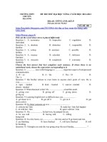 ĐỀ THI THỬ ĐẠI HỌC VÒNG 1 NĂM HỌC 2011-2012 Môn thi: TIẾNG ANH, khối D