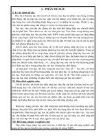 SKKN Van (2009 - 2010)