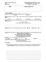 Đề KT Tiếng việt, k1_NV 7