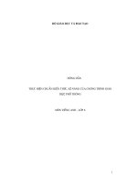 Anh 6 : chuan kien thuc