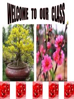 GRADE 6-UNIT 6 (C1-C2)