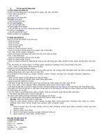 ngu phap tieng Anh toan bo