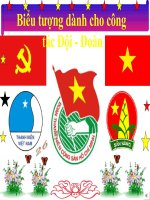 Cac bieu tuong can cho cong tac Doi