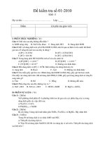 Đề kiểm tra 11 số 01