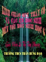 Thân dài ra do đâu?