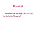 BÀI 9: NGUYÊN PHÂN