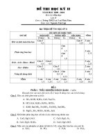 Kiểm tra học kỳ II - Tham khảo