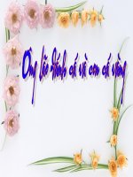 Ong lao danh ca va con ca vang (Thanh)