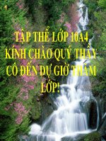 Tu tinh II- Hồ Xuân Hương