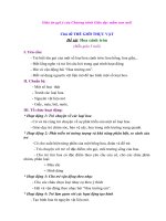 Giáo án mầm non (7)