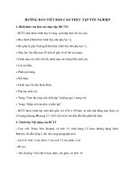 Hướng dẫn viết báo cáo tiểu luận, đồ án, luận văn, thực tập hay 2013