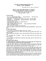 Báo cáo thành tích cá nhân CSTĐ