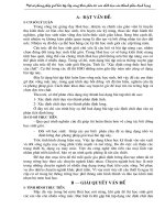 sáng kiến KN môn Hoá học (bậc 4 tĩnh)