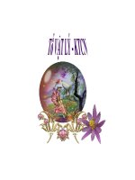 Bài Các định luật Niuton