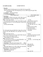 Tự nhiên -xã hội: LUYỆN TUẦN 11 ( Chiều)