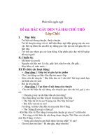 Giáo án mầm non (10)