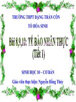 TB nhân thực ( Dự thi GVG)
