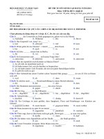 ĐỀ THI TUYỂN SINH CAO ĐẲNG NĂM 2013 Môn: TIẾNG ĐỨC; Khối D mã đề   318 