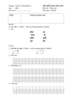 Đề thi TViệt cả năm khối 1