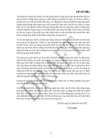 GIÁO TRÌNH TỰ ĐỘNG HÓA THIẾT KẾ CẦU ĐƯỜNG 