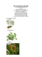 10 vị thuốc căn bản